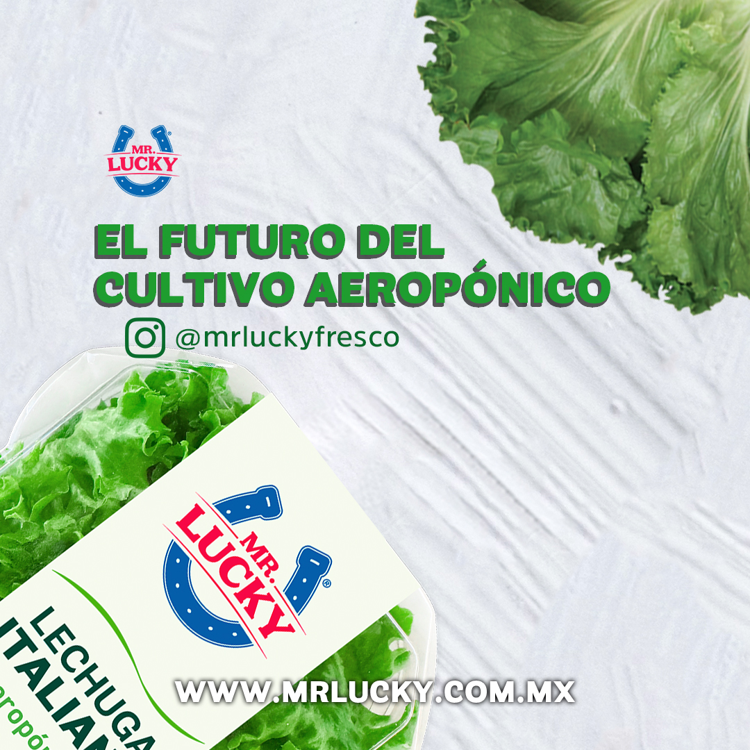El futuro del cultivo aeropónico